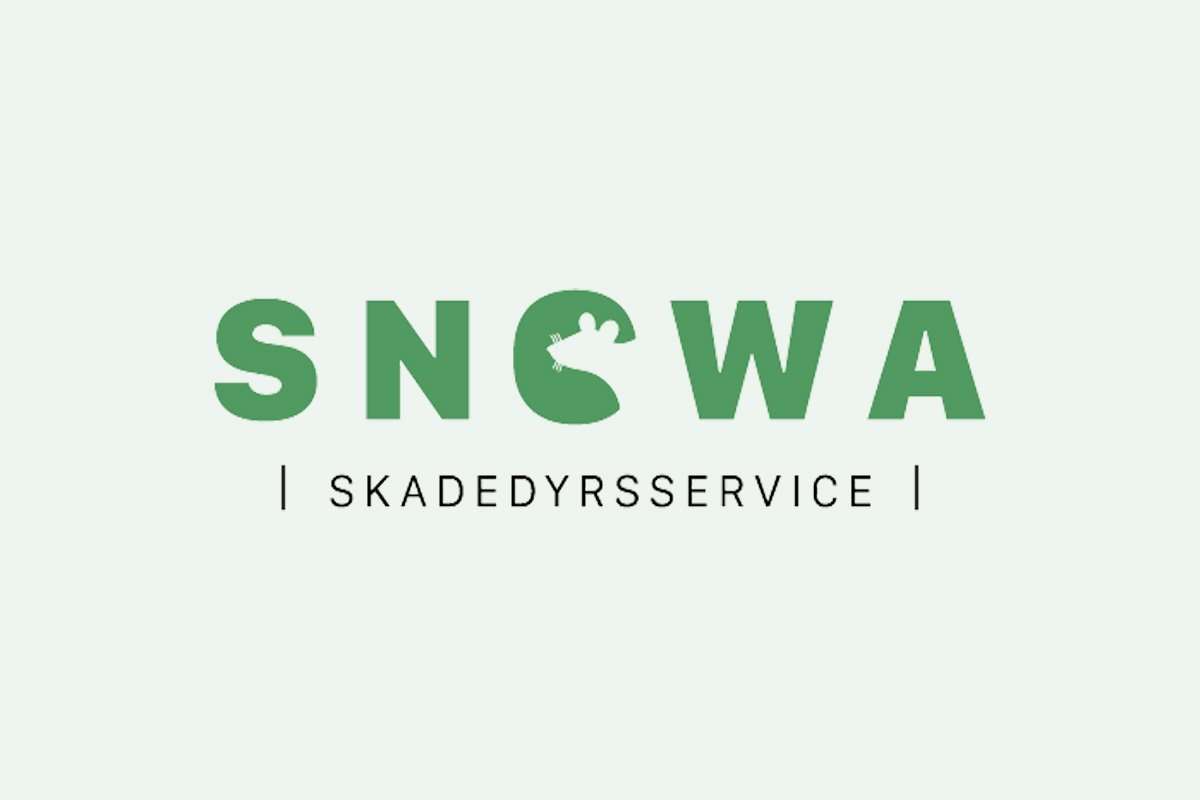 tekstforfatning snowa wayfab