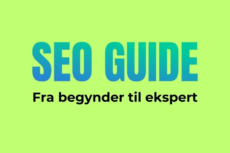 SEO Guide: Fra begynder til ekspert