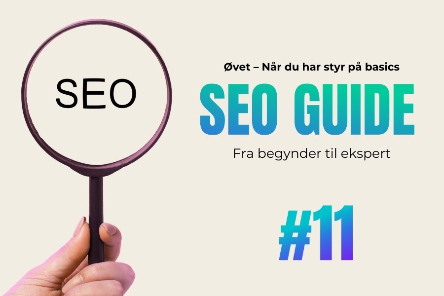 11. Google Search Console for begyndere (der vil blive øvede)
